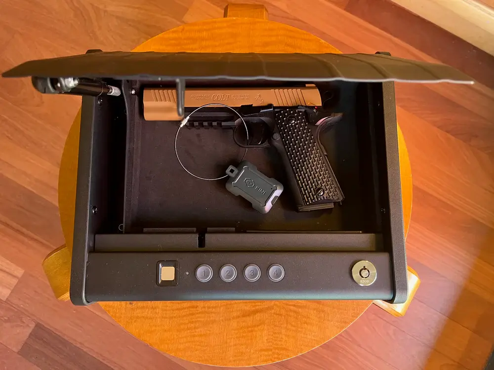 Gray_Kini_in_Gun_Safe